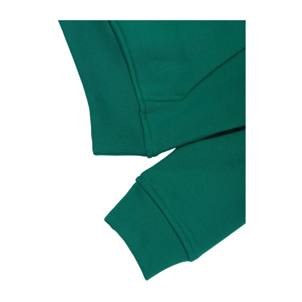 The North Face Groene Sweater Collectie Green Heren
