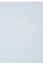 luxury-light-blue-embroidered-blanket