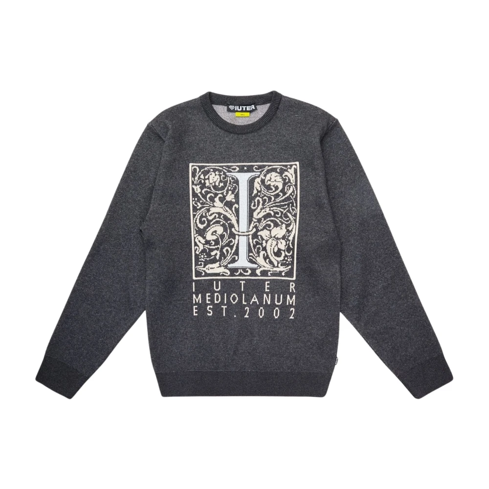 Iuter Asfalt Trui Gray Heren