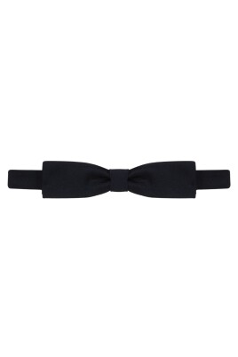 papillon-en-soie-noire