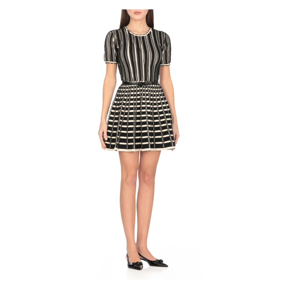 Elisabetta Franchi Zwarte Viscose Jurk met Ronde Hals Multicolor Dames