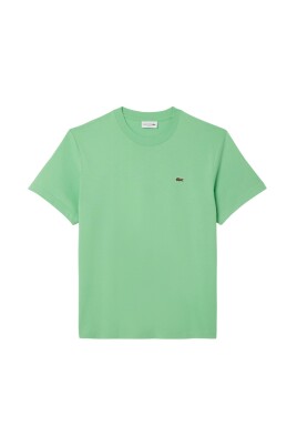 iconic-mint-green-cotton-t-shirt