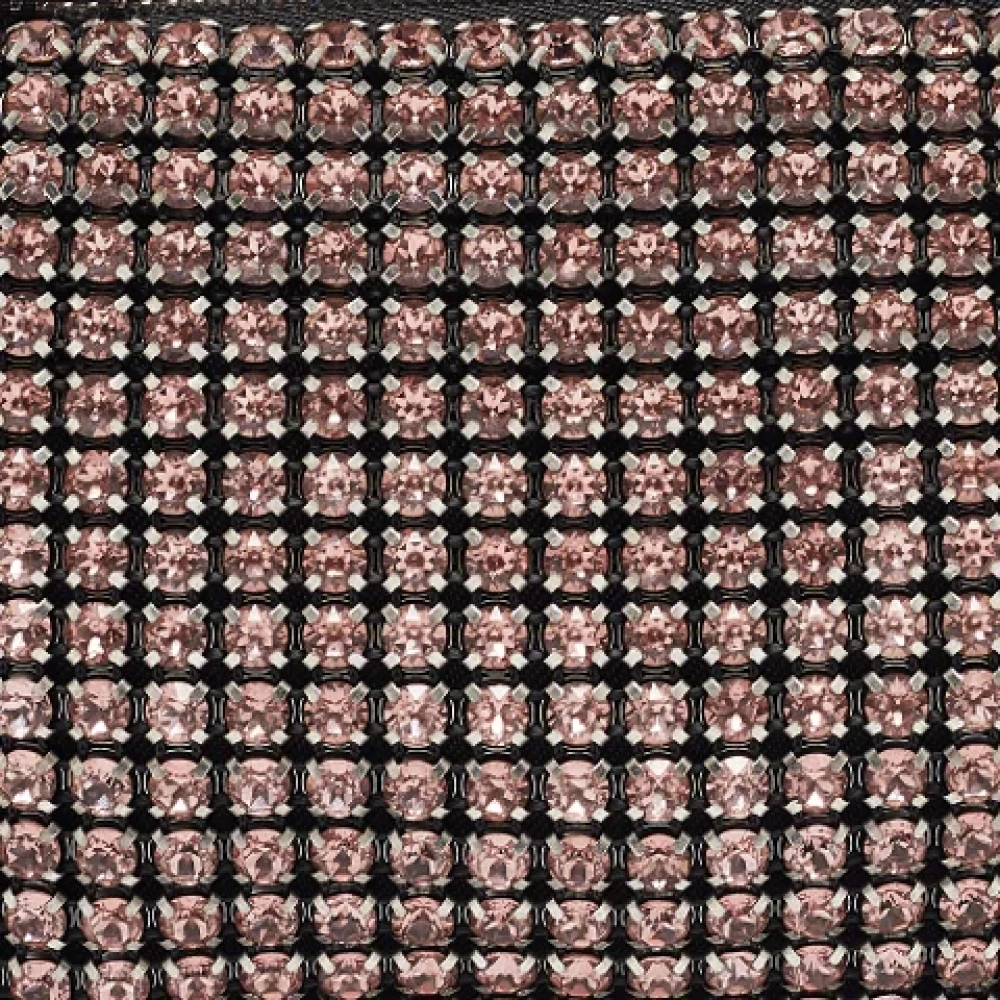 Alexander Wang Pre-owned Leather clutches Pink Dames
