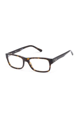 rb5268-2012-optical-frame