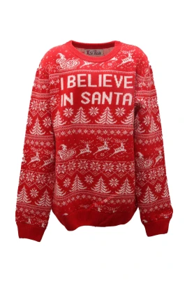 Princess P Believe Santa Sweater