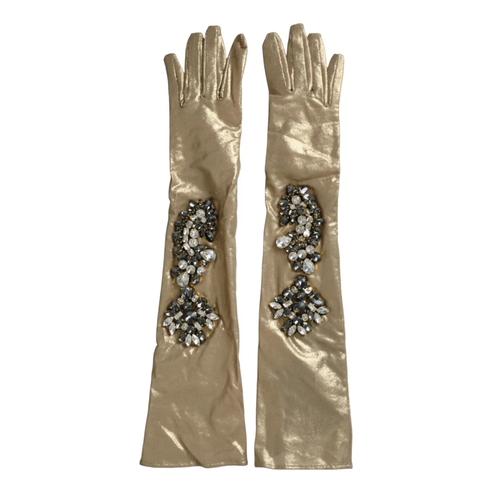 Accessories > Gloves - - Dolce & Gabbana - Modalova