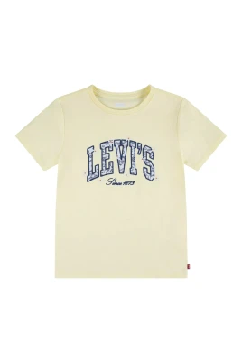 Chambray Applique To
