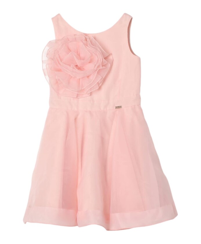 rose-girl-suit-fashionable-clothing