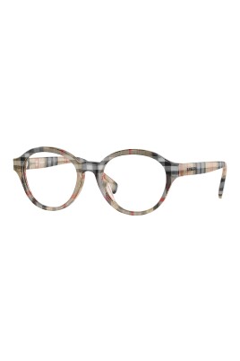 jb2006-optical-frame