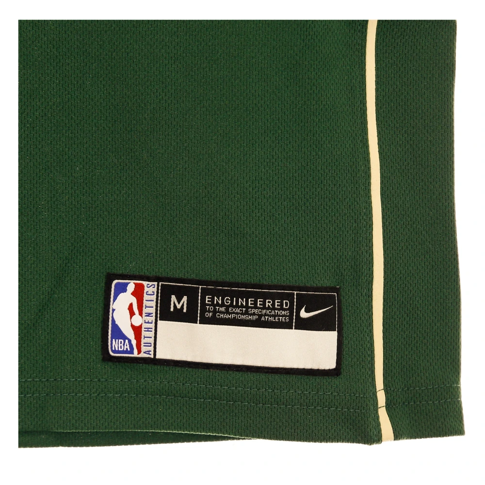 Nike Giannis Antetokounmpo Basketball Tank Top Green Heren