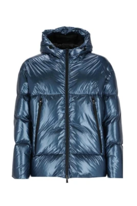 Laminar Down Jacket