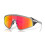 grey-prizm-ruby-sunglasses
