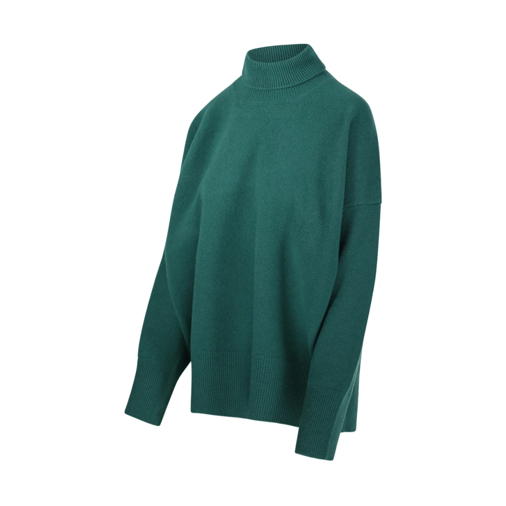 Róhe Smaragd Klassieke Turtleneck Jumper Green Dames