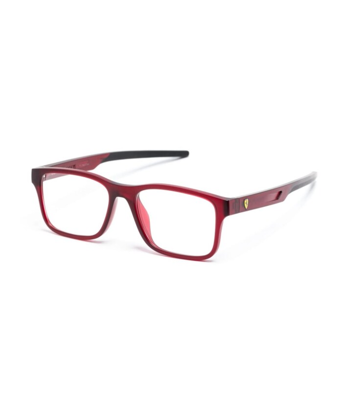 fz8003u-508-optical-frame