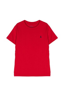 ralph-lauren-t-shirts-and-polos-multicolour