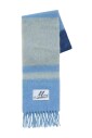 echarpe-a-rayures-bleues-a-franges