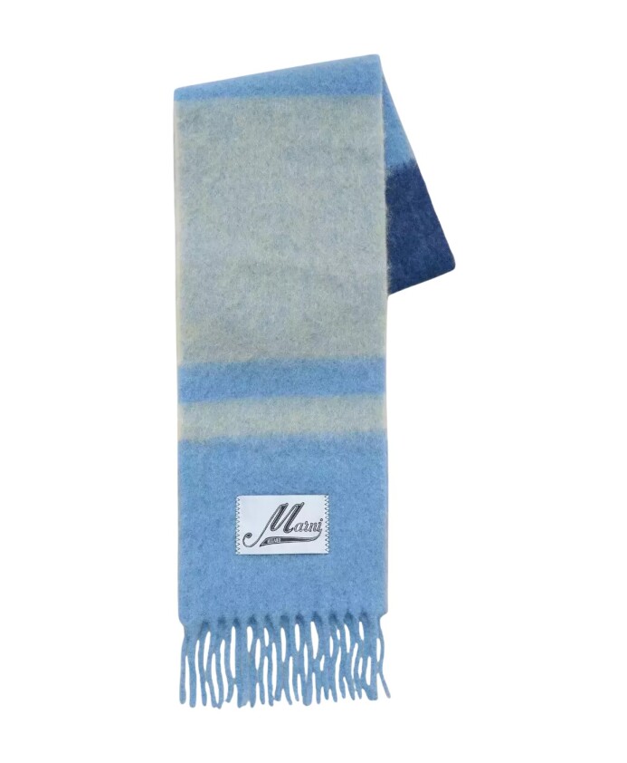 echarpe-a-rayures-bleues-a-franges