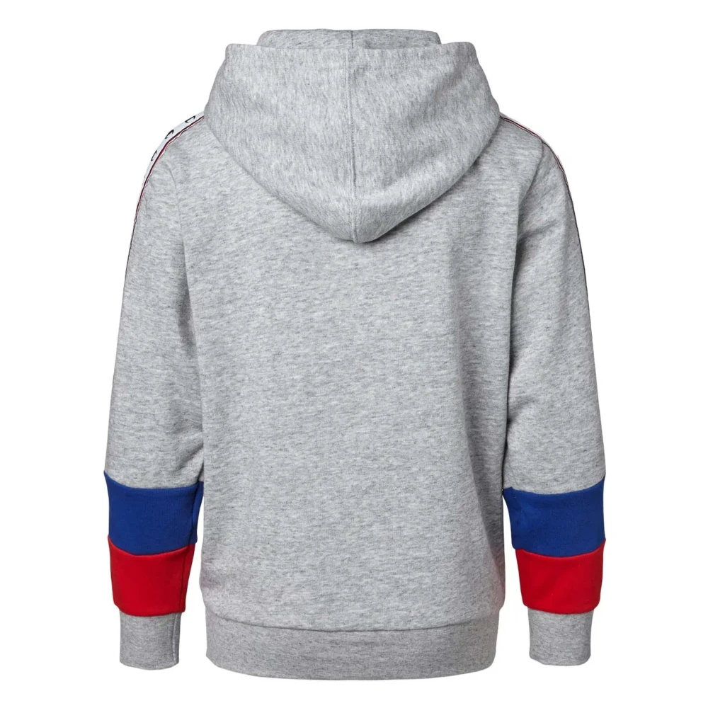 Champion Hoodie Gray Heren