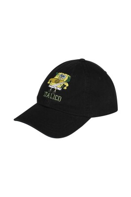 embroidered-cotton-baseball-cap