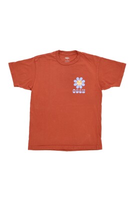 terra-cotta-mens-tee-short-sleeve