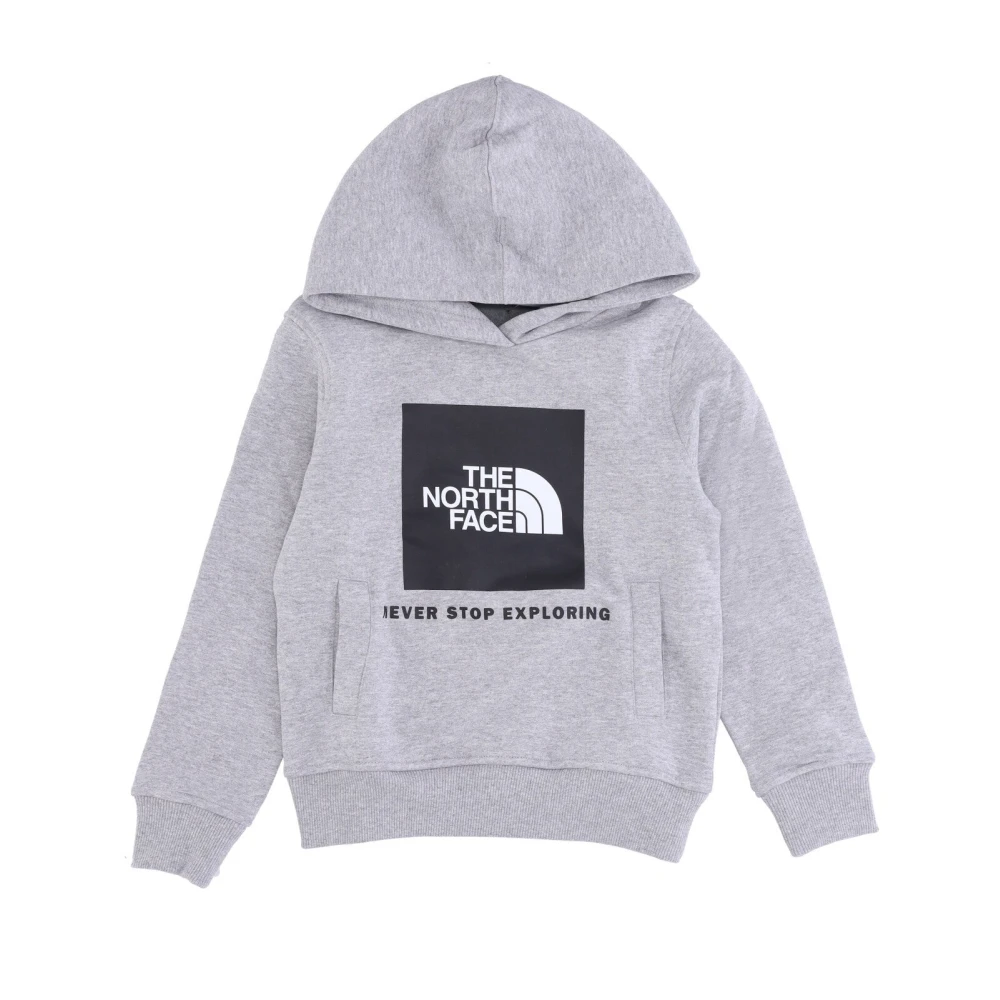 The North Face Men's Gray Pullover Hoodie With Kangaroo Pocket