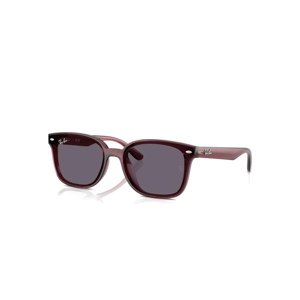 Ray-Ban Unisex Brown Sunglasses, 64 Mm, Rb4461d 659373 Sunglasses