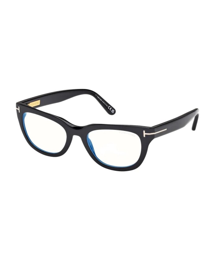 ft6066b-001-optical-frame