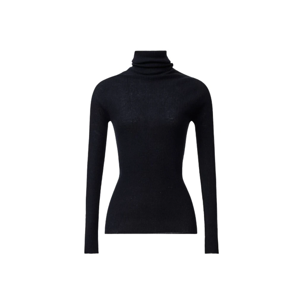 Fabiana Filippi , Turtlenecks, Female, Blue, L, High Neck Jumper