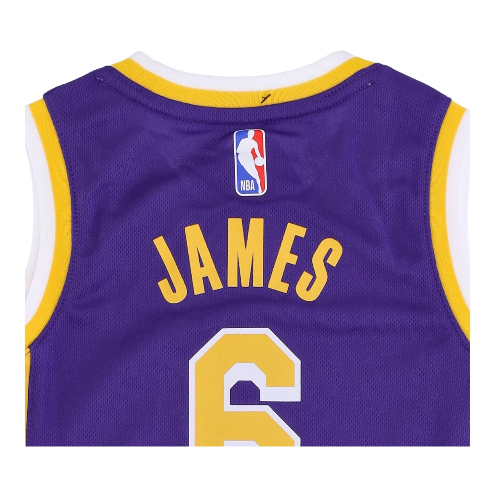 Jordan LeBron James NBA Statement Jersey Purple Heren