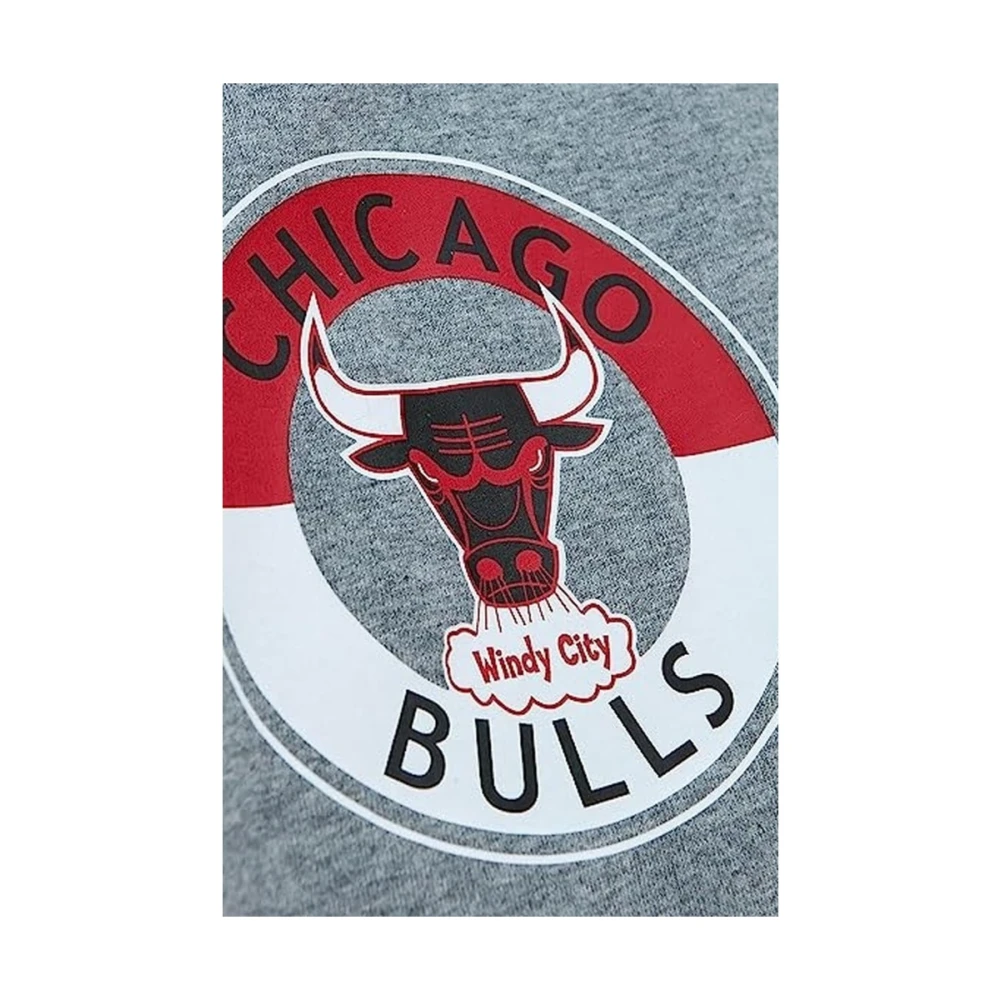Mitchell & Ness Chicago Bulls City Collection Tee Gray Heren