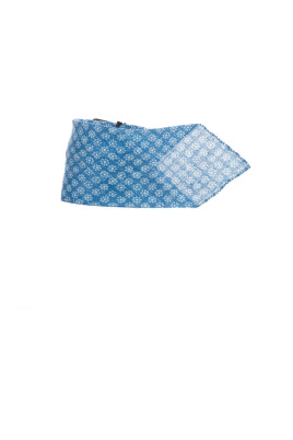 silk-fantasy-tie-with-7-folds