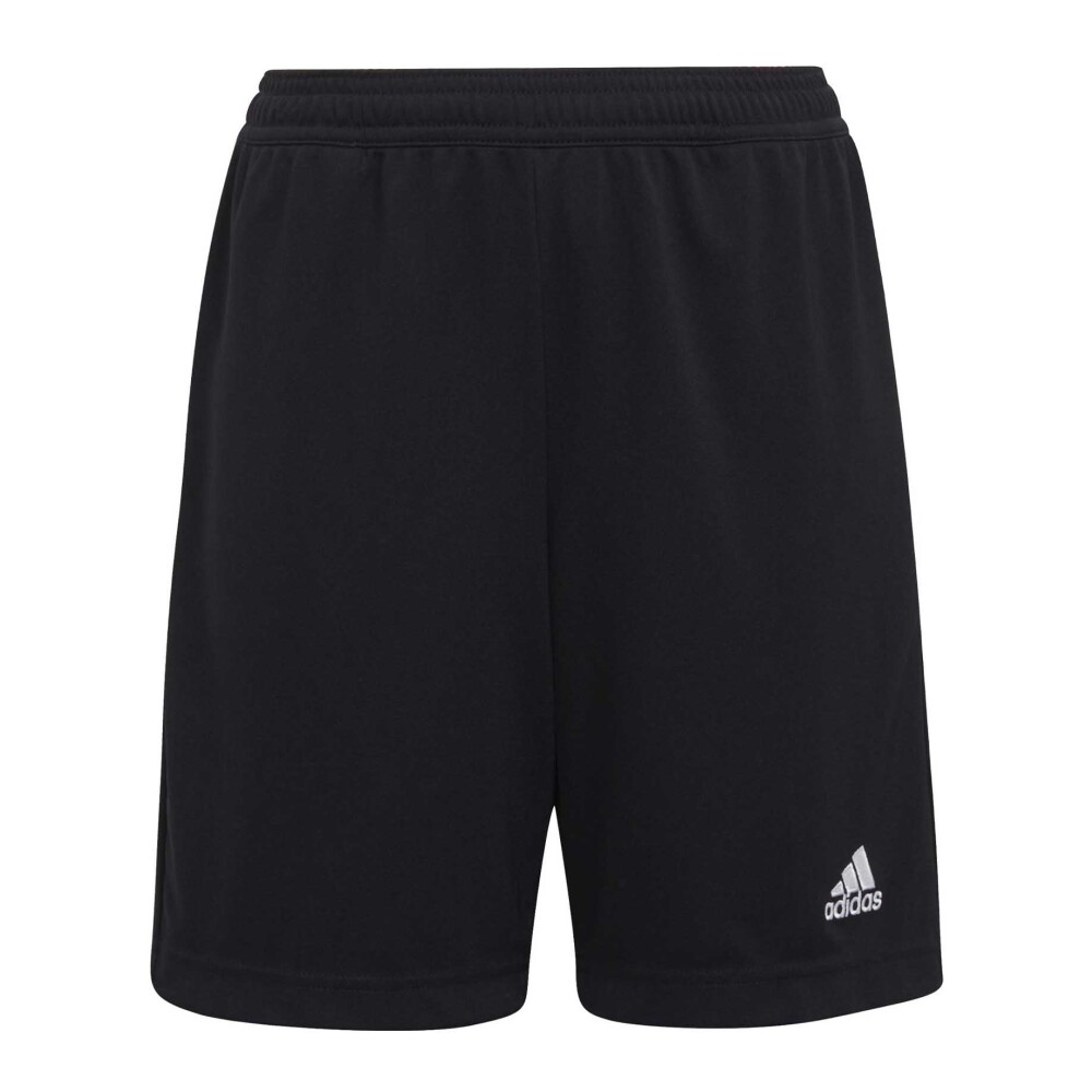 Adidas shops pantaloncini corti