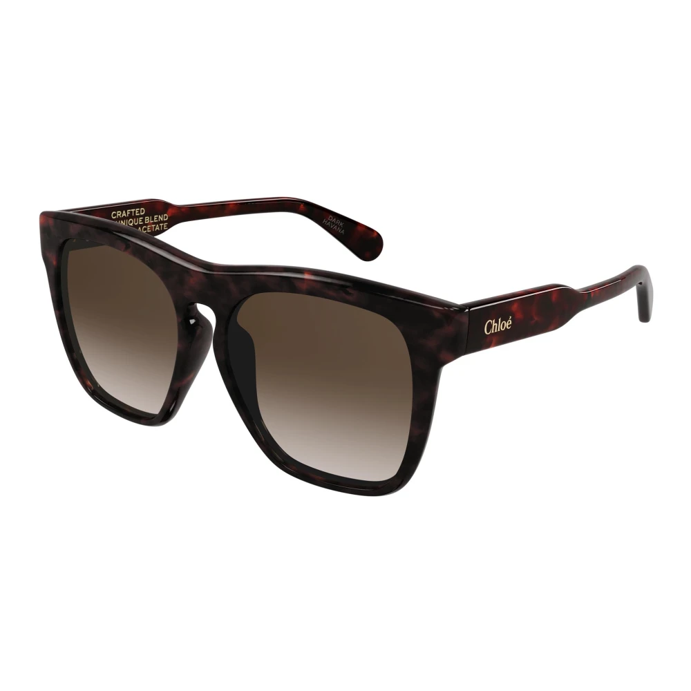 Chloé Women's Brown Havana/ Shaded Sunglasses