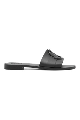 mon-slides