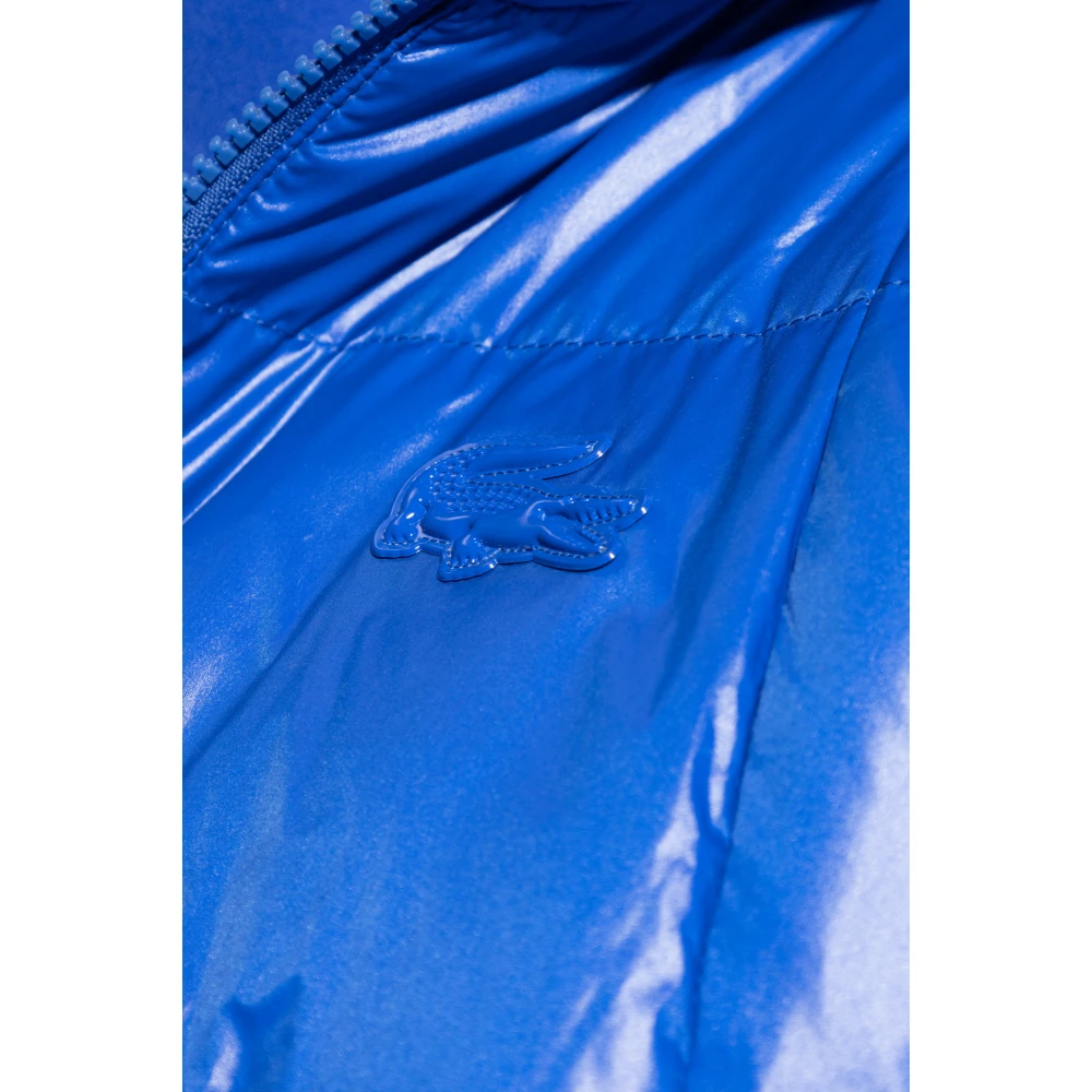 Lacoste Gewatteerde donsjas met capuchon Blue Heren