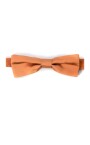 papillon-homme-collection-elegante