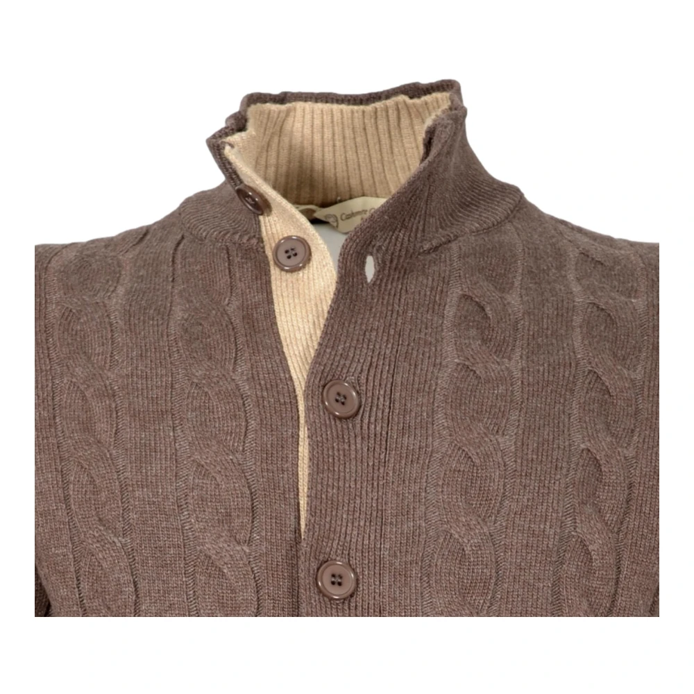 Cashmere Company Bruine Cashmere en Wol Vest Brown Heren