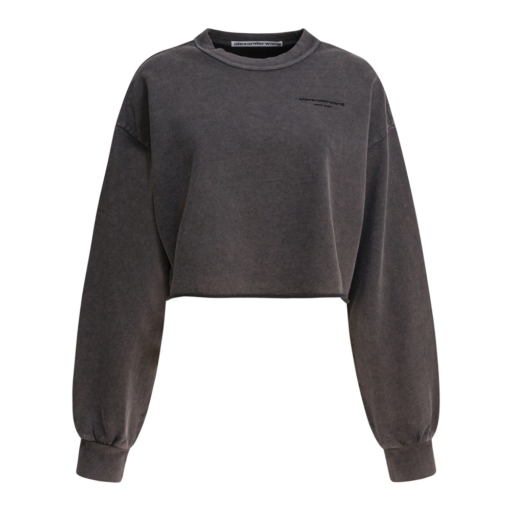 Sweatshirts & Hoodies > Sweatshirts - - Alexander Wang - Modalova