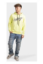 logo-hoodie