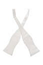 papillon-en-soie