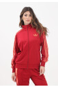sweat-a-capuche-classique-firebird