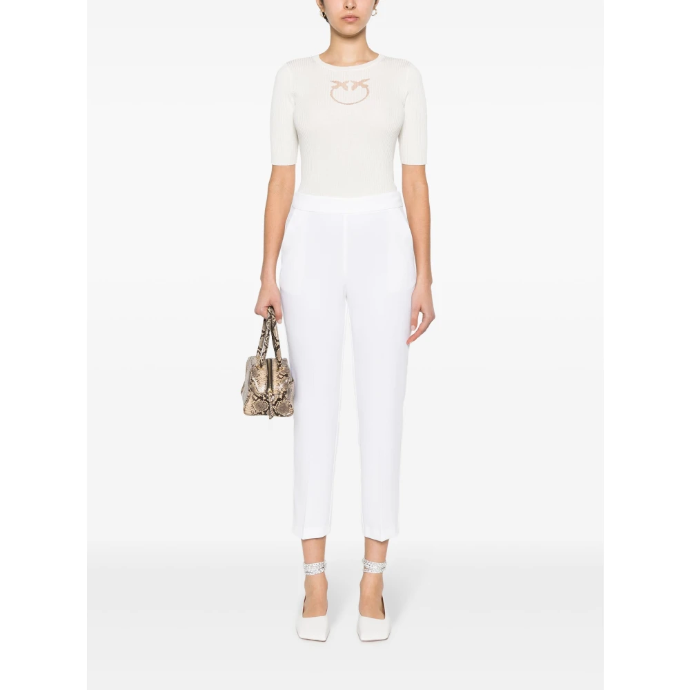 pinko Biancaneve Tritone Stijlvolle Modieuze Jurk White Dames