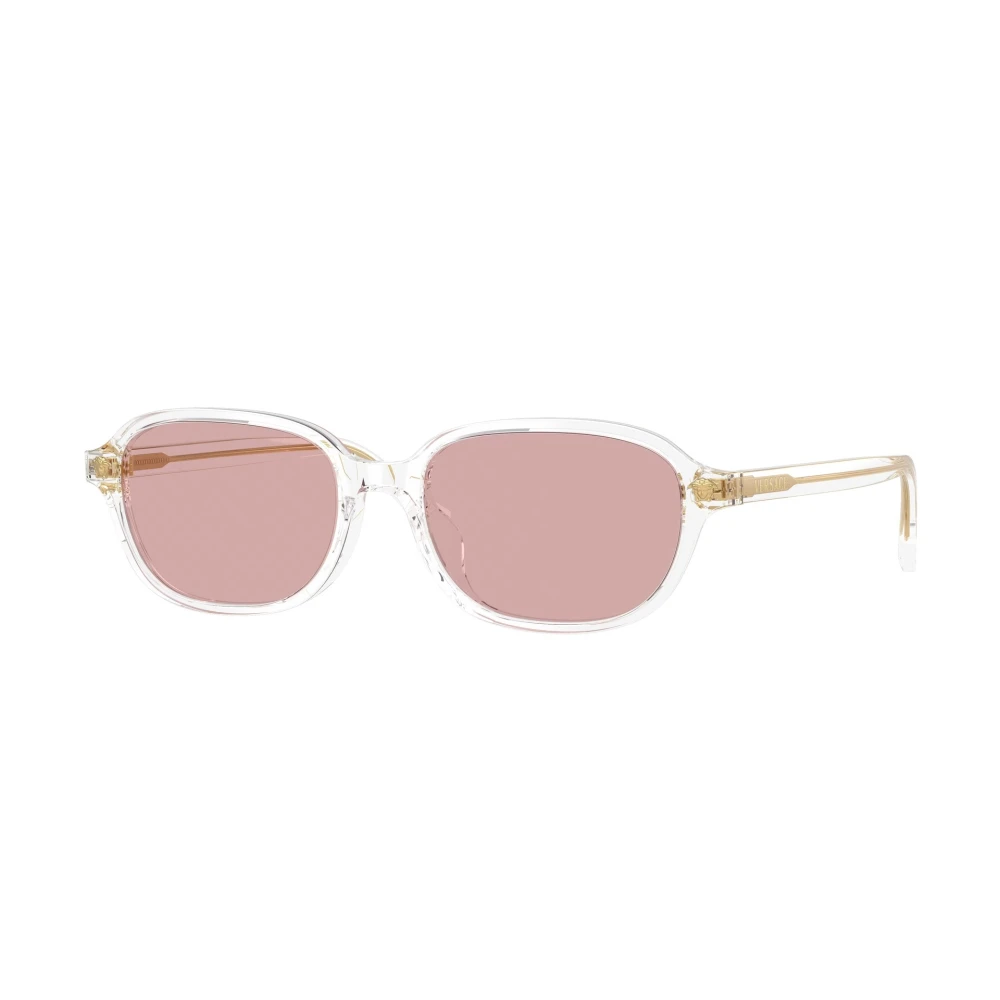Versace , Damen, Accessories, Grau, 53 Mm