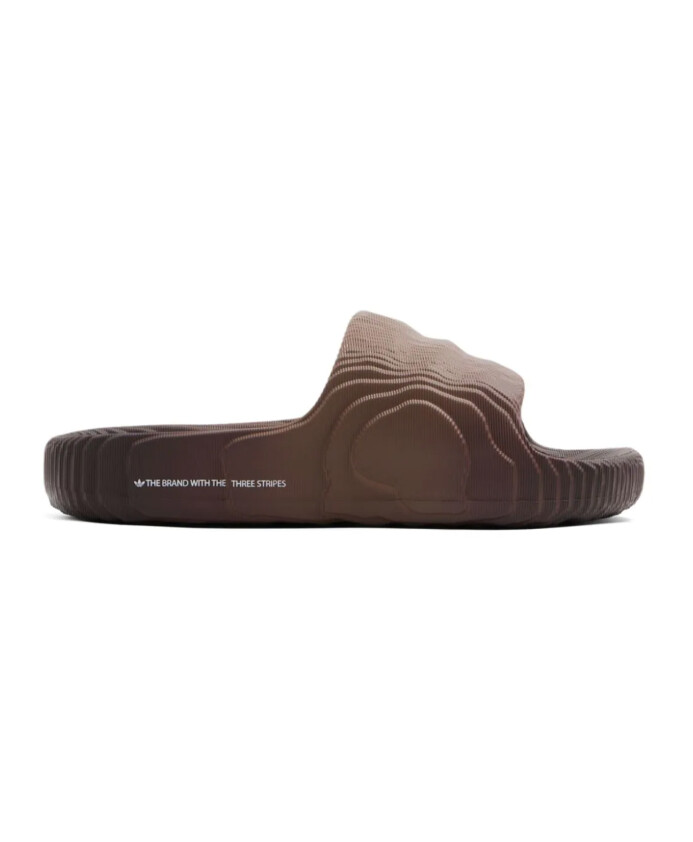 marron-ombre-noir-slides