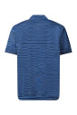 blue-stripe-polo-shirt