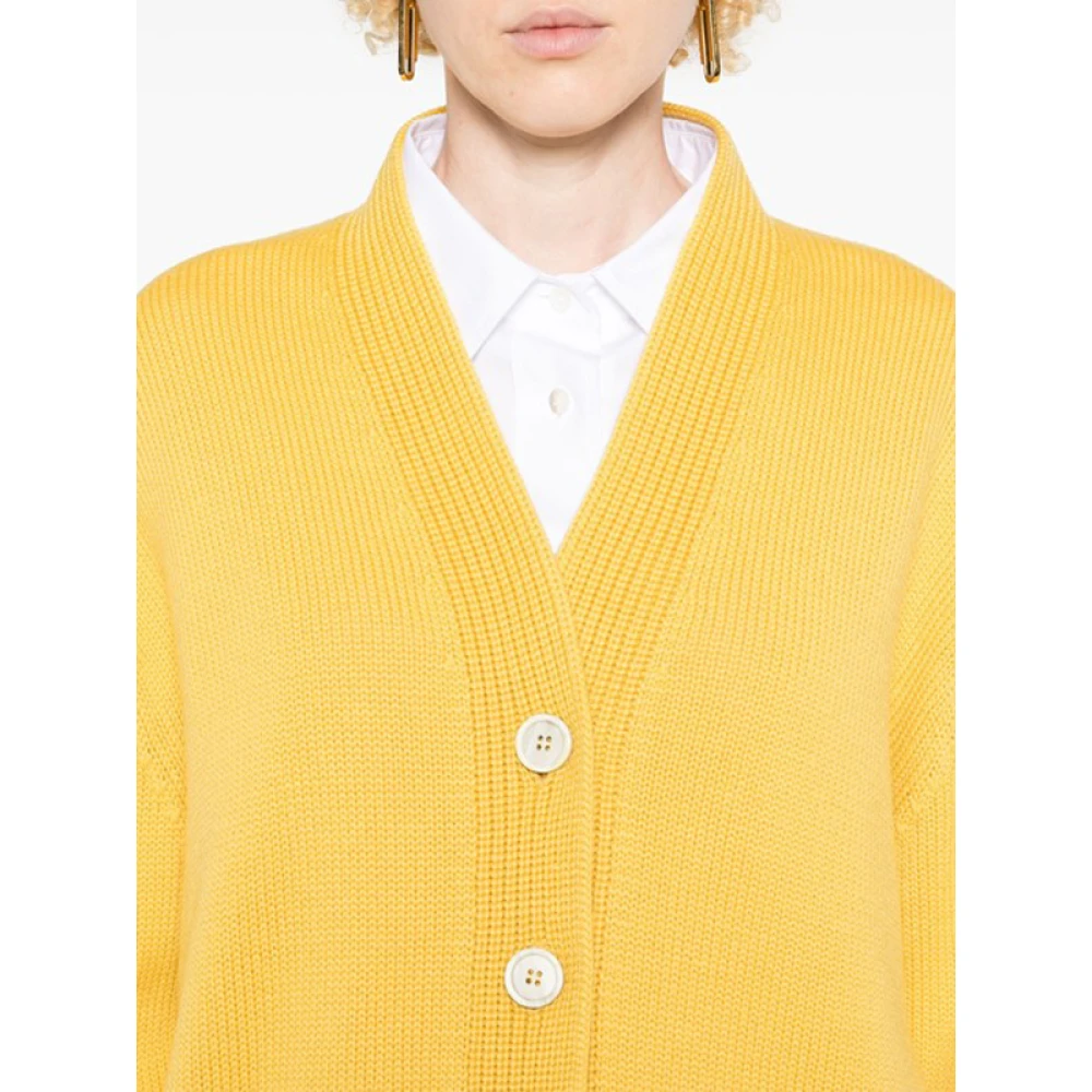Fabiana Filippi Gele Merino V-Hals Vest Yellow Dames