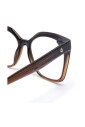 6966-2-optical-frame