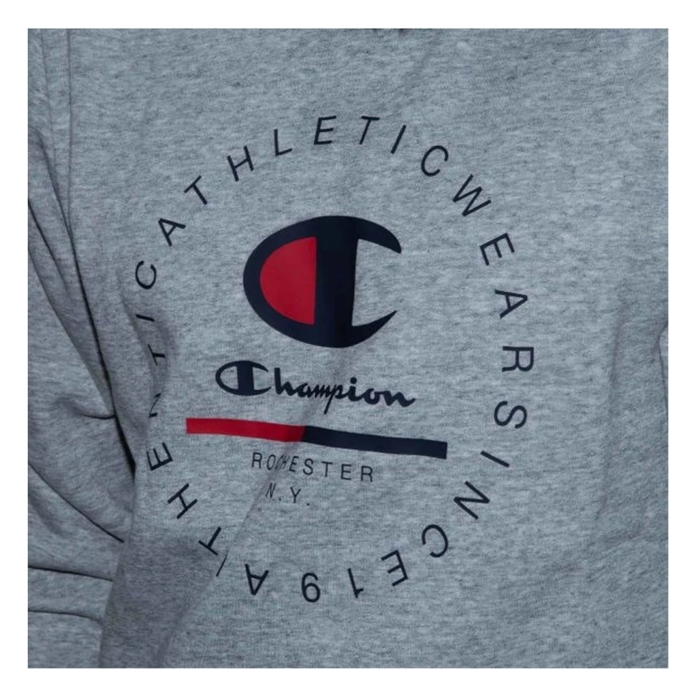 Champion Hoodie Gray Heren