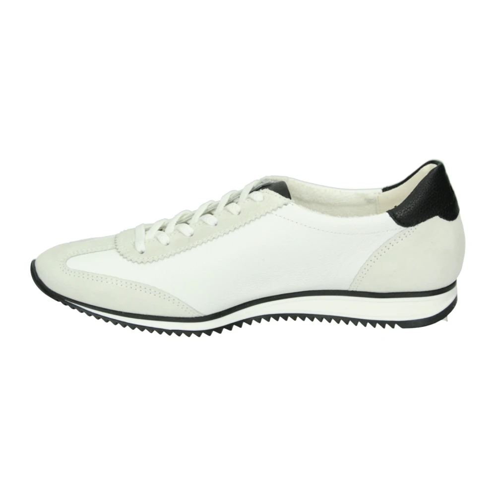 Paul 5453 Sneaker Dames Schoenen Wit