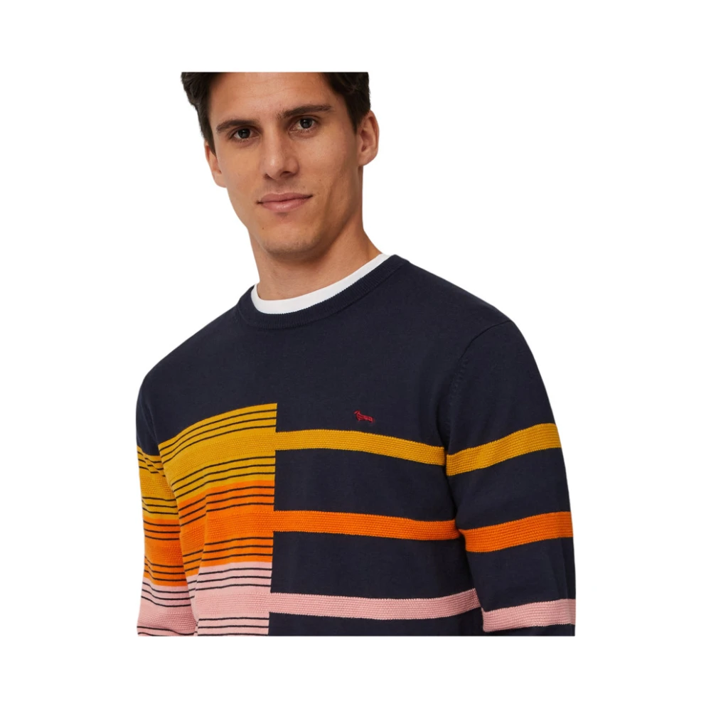Harmont & Blaine Ronde Hals Trui Multicolor Heren